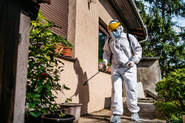 Best Pest Prevention Services  in Breckenridge, MN