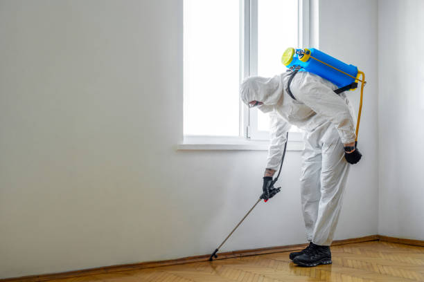 Reliable Breckenridge, MN Pest Control Solutions